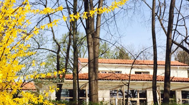 pove tile ancorei salcii de florii i o ciorba iute cu midii i rapane