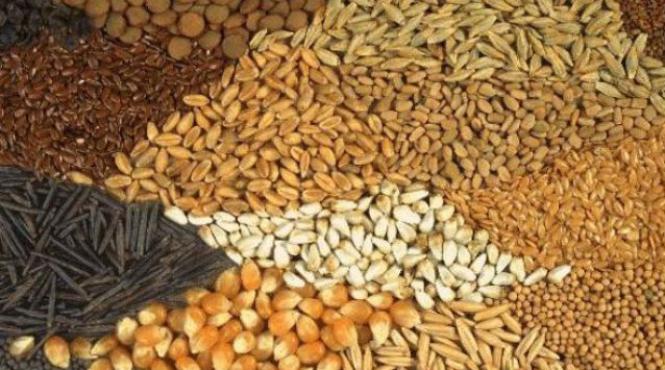 premiera in ultimii 20 de ani in 2013 romania a inregistrat excedent in comertul cu produse agroalimentare