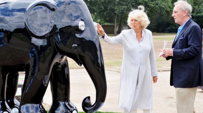 fratele ducesei de cornwall a murit dupa ce a cazut de la balconul unui hotel din new york