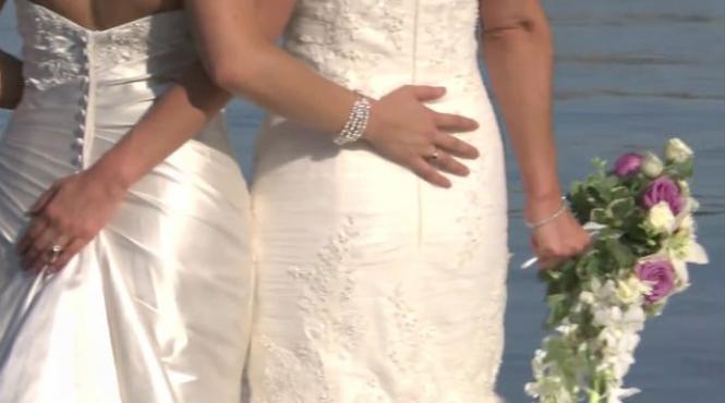 jodie foster mireasa nunta lesbiana hollywood