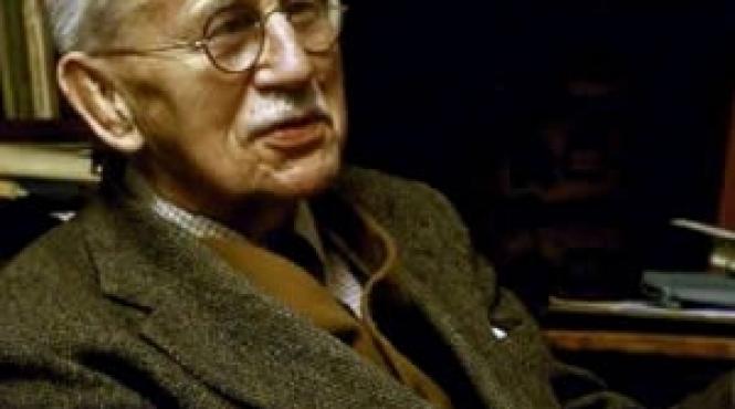 o ipoteza uluitoare omul se trage dintr o maimu a acvatica