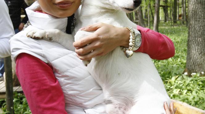 de 1 mai catelul andrei trandas a disparut cu tot cu masina