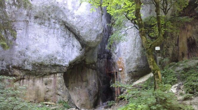 tiroliana in canionul sapte scari