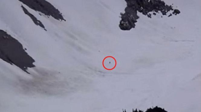 noua inregistrare care atesta existenta lui bigfoot tu ce crezi video