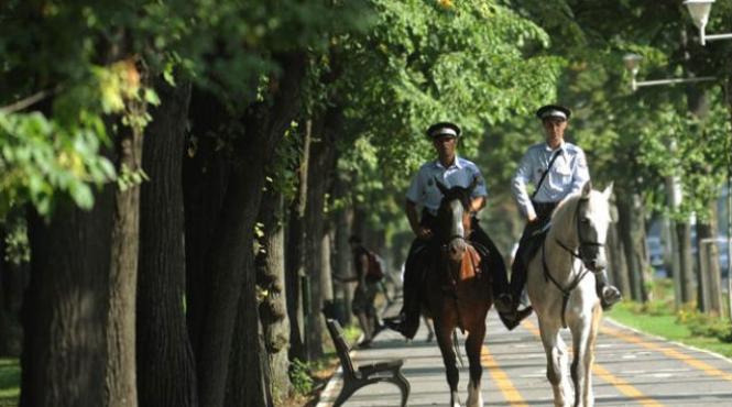 bani pierduti politia locala bucuresti
