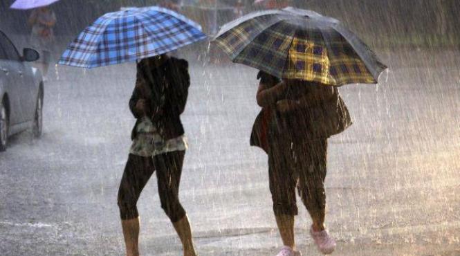 copaci cazuti si inundatii in bucuresti in urma ploilor de miercuri