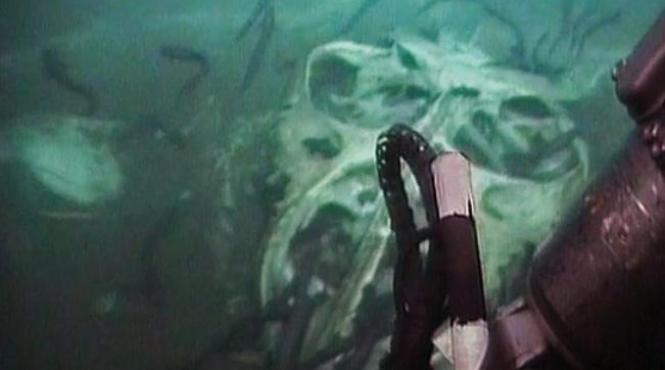 este unic in lume descoperire incredibila facuta de o sonda submarina la mare adancime in largul coastei angolei video