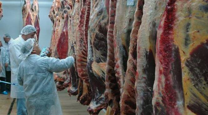 producatorii din industria carnii cer fmi reducerea tva la 5 care este planul guvernului