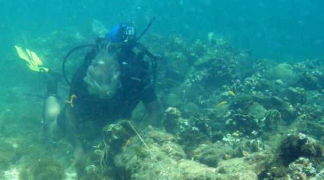 descoperire incredibila pe fundul oceanului ce au gasit doi studenti canadieni in timp ce faceau scufundari in pacific video