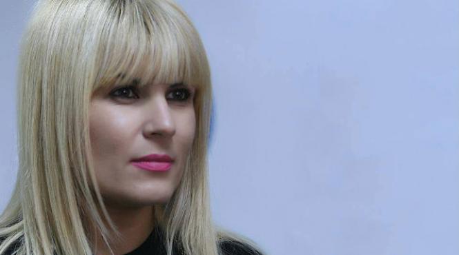 elena udrea pmp nu putem fi parteneri cu cineva care ne cere sa renuntam la traian basescu