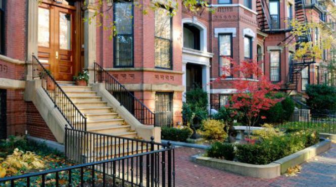 gadilatorul din boston