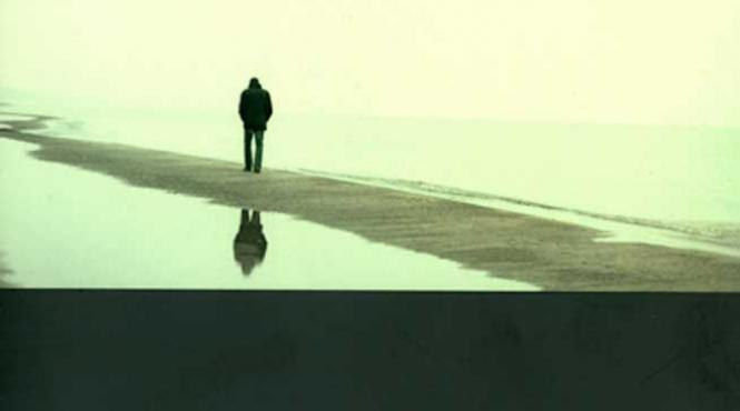 scena crimei tamaduitorul