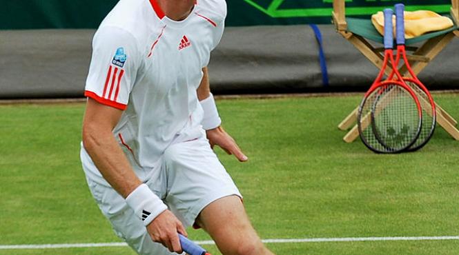 andy murray antrenor amelie mauresmo