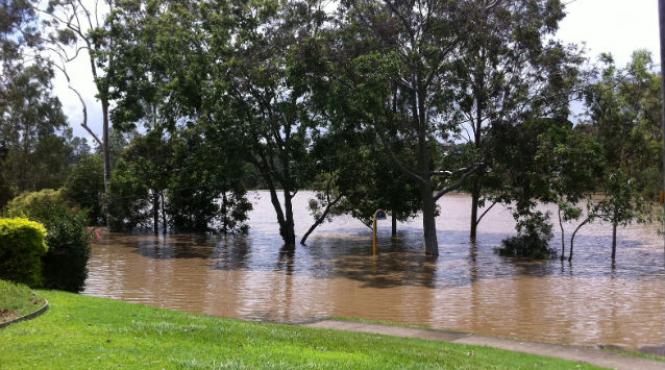 inundatii devastatoare in statul brazilian parana 9 oameni au murit cu cateva zile inaintea startului cm