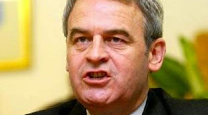 corina cretu intre prietenia cu tokes si decizia cab traian basescu trebuie sa tina cont de justitie