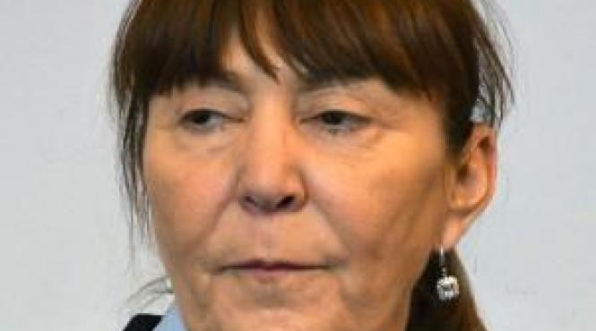 eurodeputat bostinaru monica macovei sa condamne coruptia din familia basescu