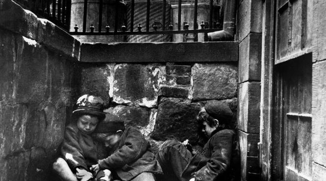 eutanasierea copiilor fara adapost propunere criminala profesor universitar egipt