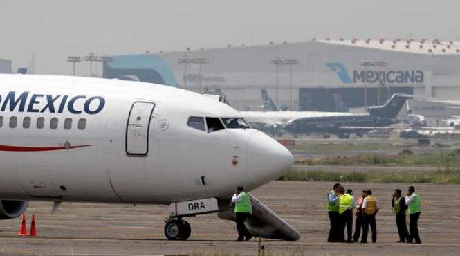 descoperire macabra pe aeroport ce s a gasit in doi ursuleti de plus in timpul unui control de rutina