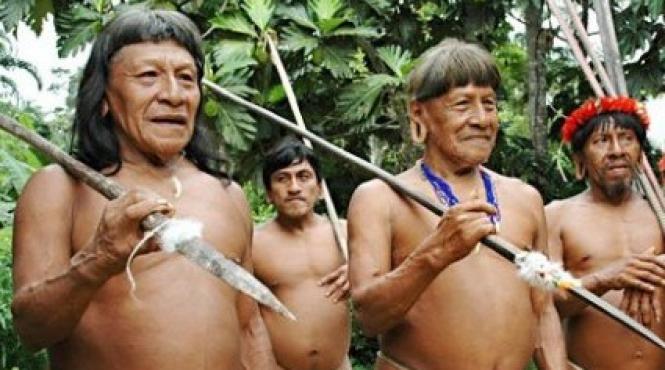 cercetatori americani acuza i ca au vandut sangele unor ba tina i din amazon ce secret ascunde adn ul tribului waorani