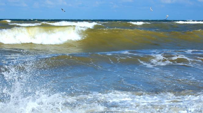 ofiter spp inecat neptun golful mortului