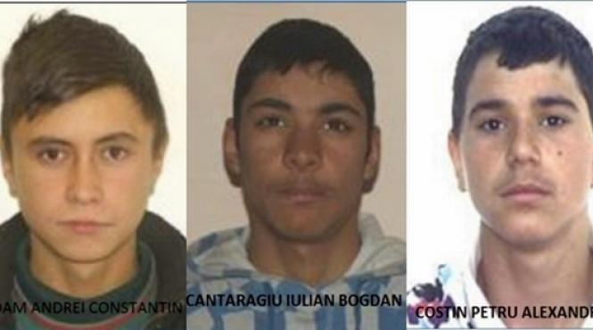 jandarmii de veghe in lanul de porumb politistii i au inconjurat pe evadatii de la penitenciarul tichilesti si asteapta sa li se faca foame