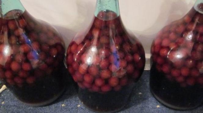 coma alcoolica visinata copil