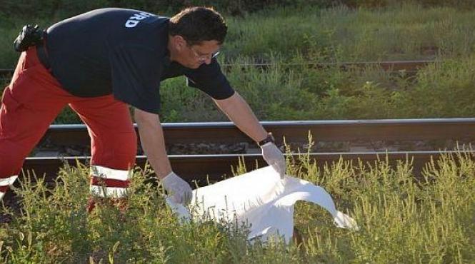 covasna ucisa de tren accident sfantu gheorghe accident de tren