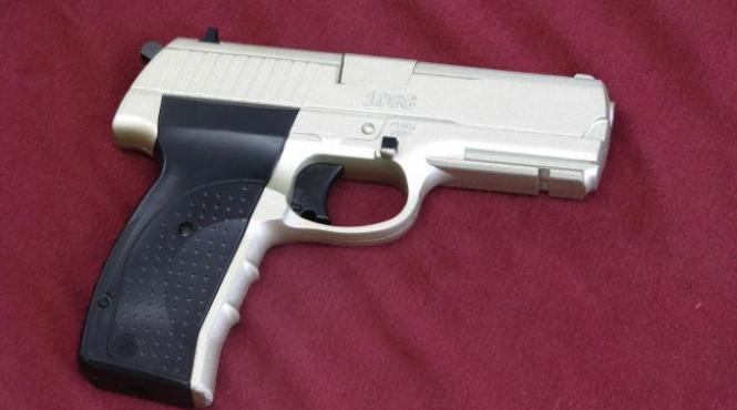 psihiatru cearta din cauza cainilor pudel