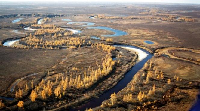 savantii perplecsi un fenomen bizar a ingrozit locuitorii unei peninsule din siberia nimeni nu are nicio explicatie video