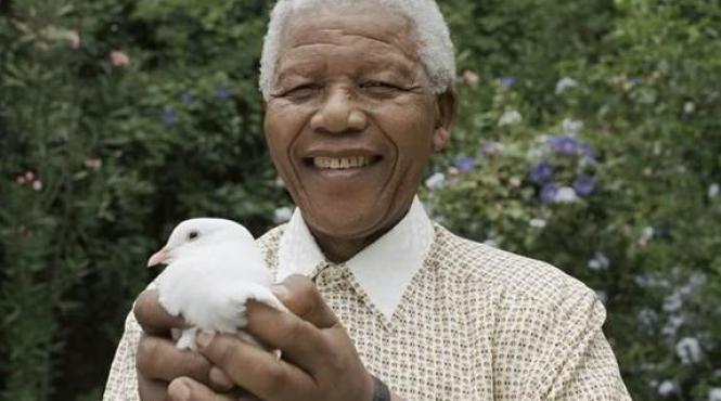 nelson mandela mandela ziua mandela google doodle africa de sud