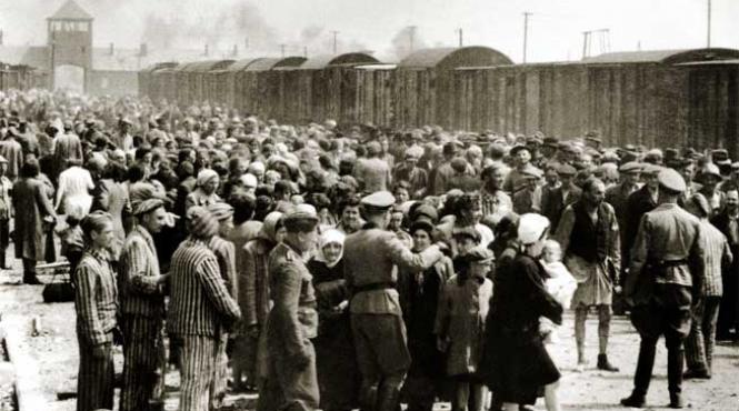 jurnalul unui supravietuitor de la auschwitz 3 m a pus sa l mangai la organele genitale au urmat alte seri cand trebuia sa i fac sex oral iar intr o seara mi a scos pantalonii si m a patruns