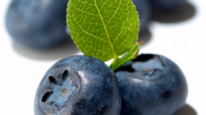 miracolul padurii afinele i beneficiile lor pentru sanatate