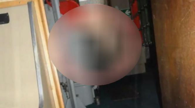 imaginea care isterizat retelele de socializare ce a surprins un docher la bordul unei vechi fregate militare video