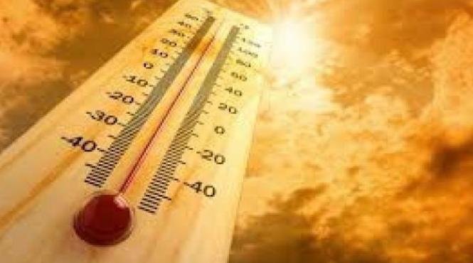 record meteorologic in letonia a fost inregistrata cea mai ridicata temperatura din istoria tarii