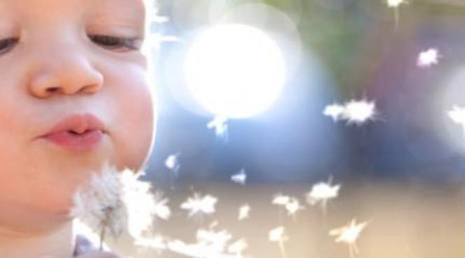 alergiile afecteaza jumatate dintre locuitorii planetei