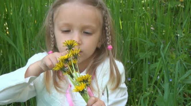 6 mirosuri de vara care ne pot influen a via a nici nu tii cat de importante sunt mirosul de gazon sau cel de briza marina