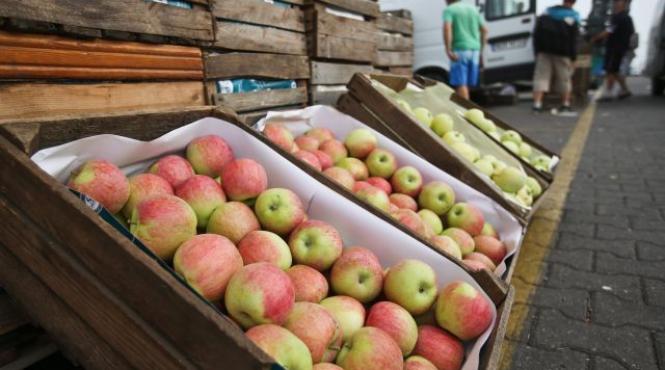 polonia cere statelor unite sa cumpere merele interzise de rusia oficial polonez situatia este exceptionala