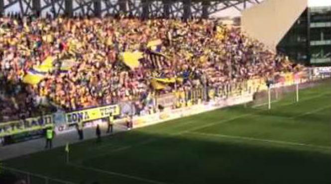 petrolul ploiesti rapid bucuresti 0 0