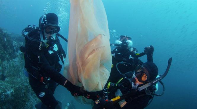 google se protejeaza de rechini