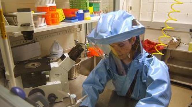 tratament contra ebola