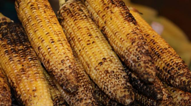 porumbul ine creierul tanar afla in ce boli grave e indicat i cum ac ioneaza