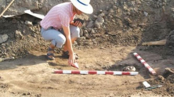 statueta din os veche de circa 20 000 de ani descoperita de arheologi in situl din poiana ciresului