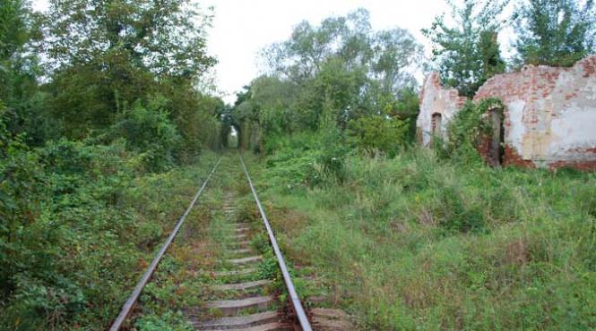 tunelul iubirii neglijenta cfr creeaza minuni naturale