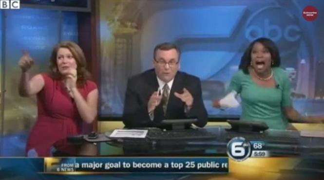 studio tv din sua luat cu asalt de un liliac reactia prezentatorilor unei emisiuni matinale este fabuloasa video