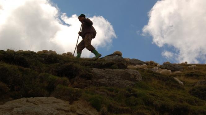 drumuri ale vesniciei cararile muntilor e toamna si au inceput sa se intoarca ciobanii cu oile de pe munte