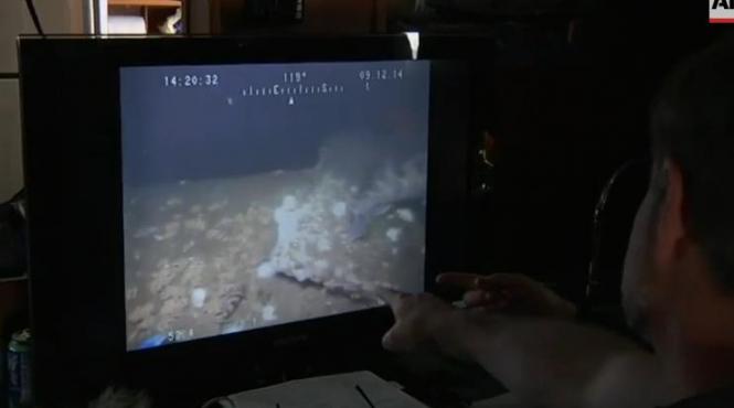 descoperire extraordinara in golful san francisco ce au gasit expertii maritimi americani la intrarea in golden gate video