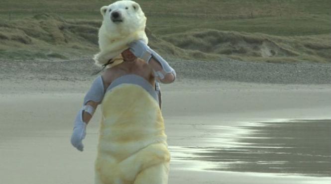 premiile ig nobel fascinanta cercetare privind reactia renilor la oamenii deghizati in ursi polari printre cele premiate