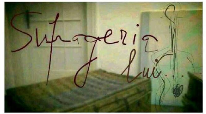 folk la unu invitat ducu bertzi