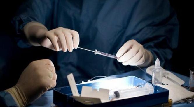 descoperire bizara facuta de cercetatorii germani ce au gasit oamenii de stiinta in creierul soarecilor video