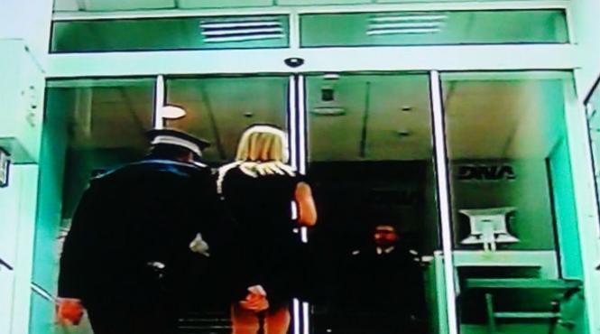 elena udrea dna audiere